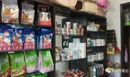 附近有宠物店吗,家门口的宠物乐园