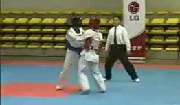 跆拳道视频,从视频中汲取精华